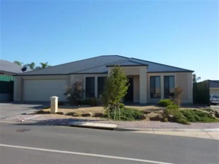 19 Cronin Ave, Blakeview SA