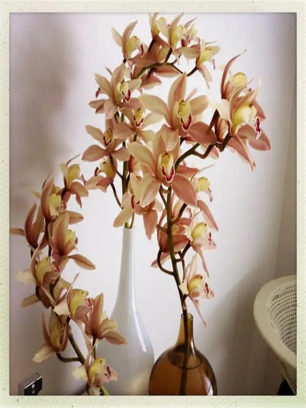 Second view of Homely house listing, 1 Beachcomber Ave, Bundeena NSW