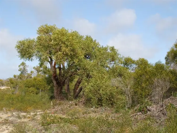 Second view of Homely rural property listing, Lot 35 River Loop, Jurien Bay WA
