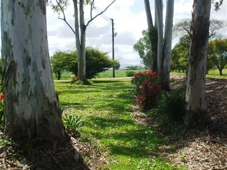 Fifth view of Homely rural property listing, 1957 Abergowrie Rd, Lannercost QLD