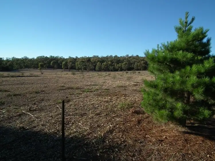 Sixth view of Homely house listing, 41 Steigenberger Rd, Rushworth VIC
