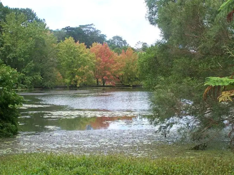 Main view of Homely house listing, 71 McCarthy Rd, Maleny QLD