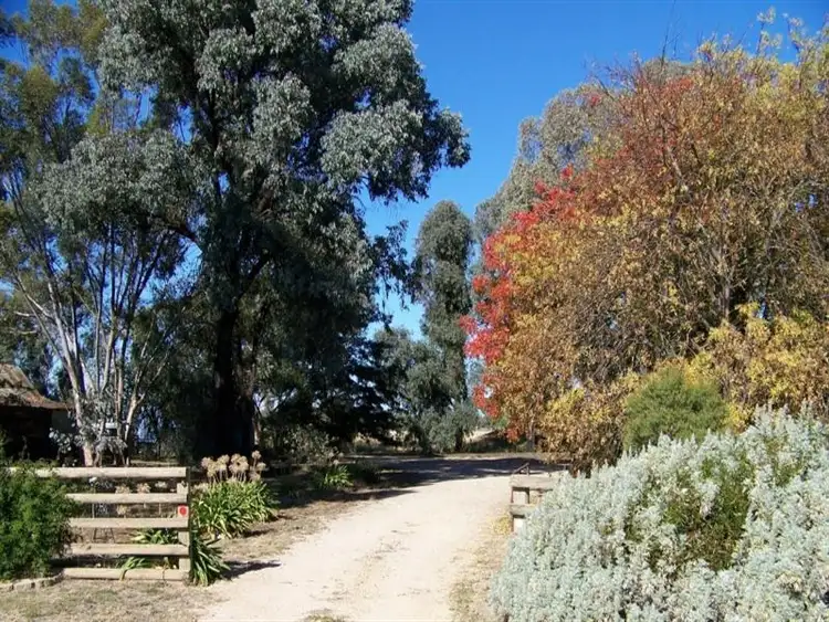 Fourth view of Homely house listing, "Peppertree" Hillview Lane, Eugowra NSW