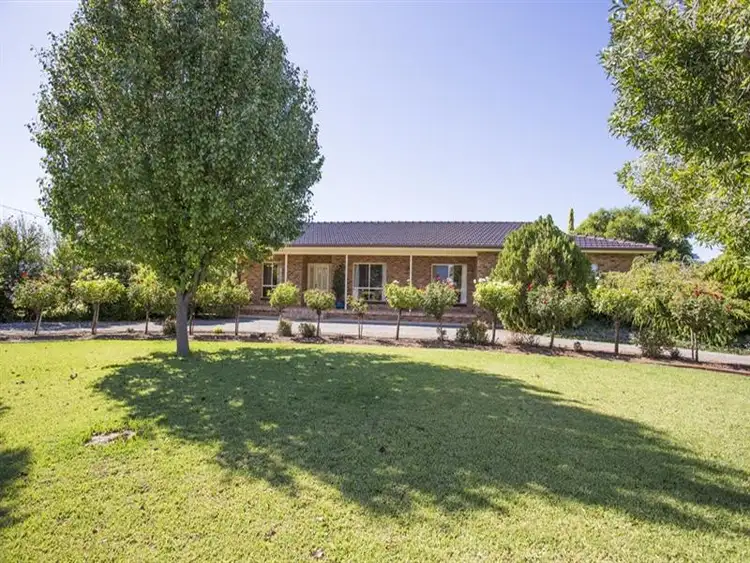 Main view of Homely house listing, Farm 2564 Murray Rd, Yoogali NSW