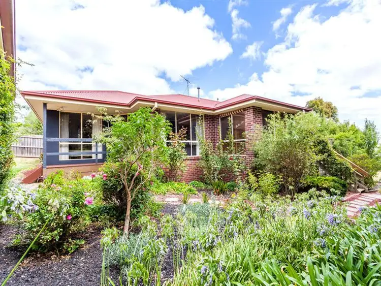 Main view of Homely house listing, 20 Highett Rd, Highton VIC