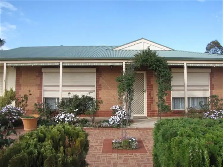 9 Tomlinson Ct, Loxton SA