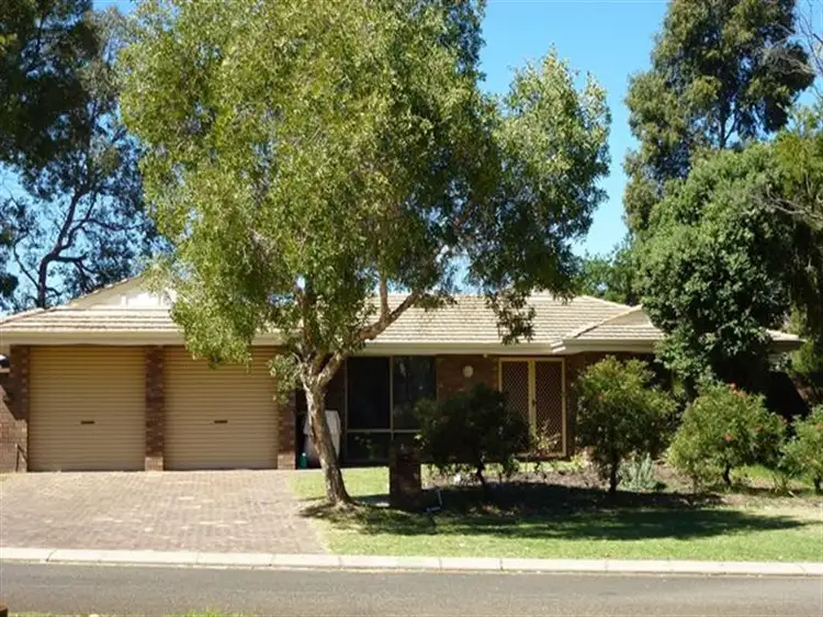 Main view of Homely house listing, 20 Field View, Bullsbrook WA