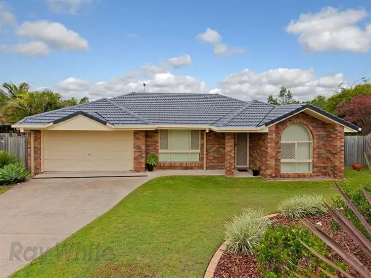 31 Streamview Cres, Springfield QLD