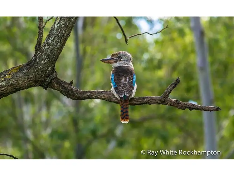 Sixth view of Homely unit listing, 1/191 Rush St, Koongal QLD