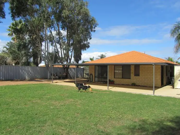 Sixth view of Homely house listing, 9 Astron Pl, Waggrakine WA