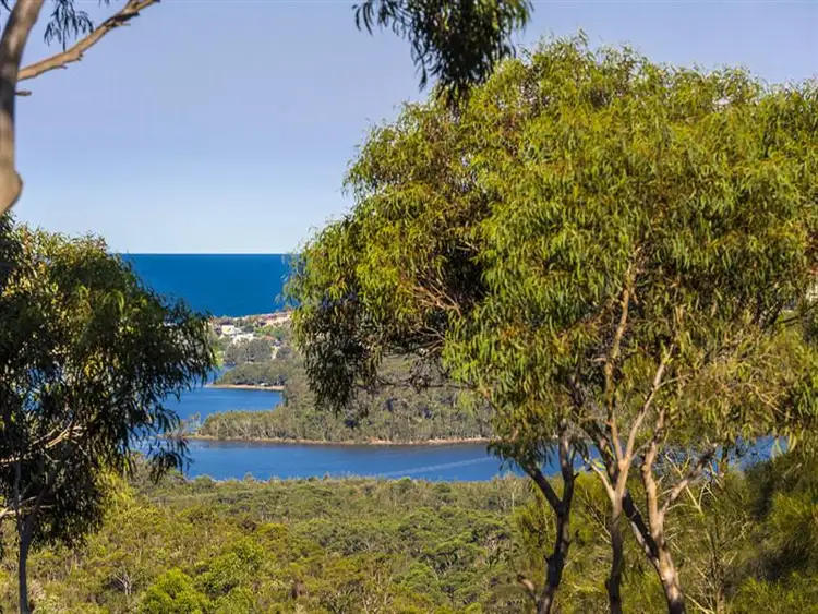Seventh view of Homely rural property listing, 17 Dendrobium Cres, Elanora Heights NSW
