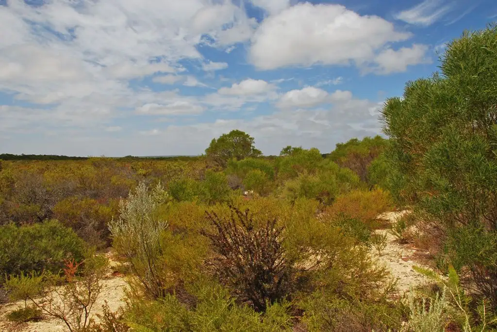 Main view of Homely land listing, Lot 74 Ridge Way, Jurien Bay WA 6516