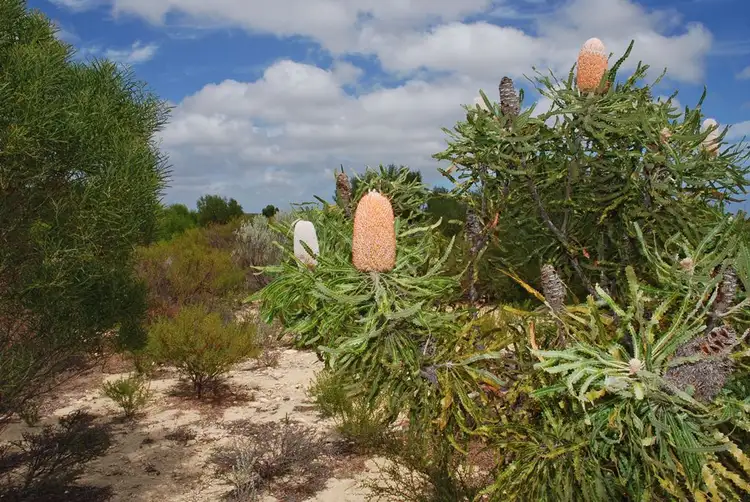 Third view of Homely land listing, Lot 74 Ridge Way, Jurien Bay WA 6516