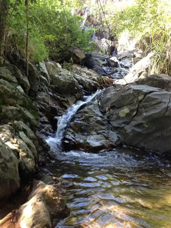 Main view of Homely rural property listing, 596 Gorge Rd, Finch Hatton QLD