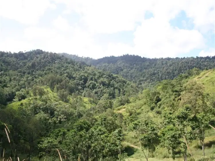 Third view of Homely rural property listing, 596 Gorge Rd, Finch Hatton QLD