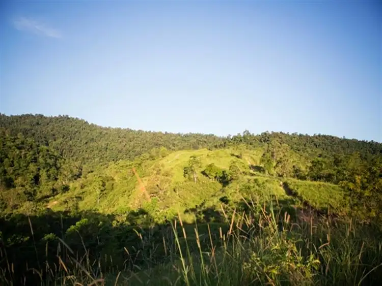 Fifth view of Homely rural property listing, 596 Gorge Rd, Finch Hatton QLD