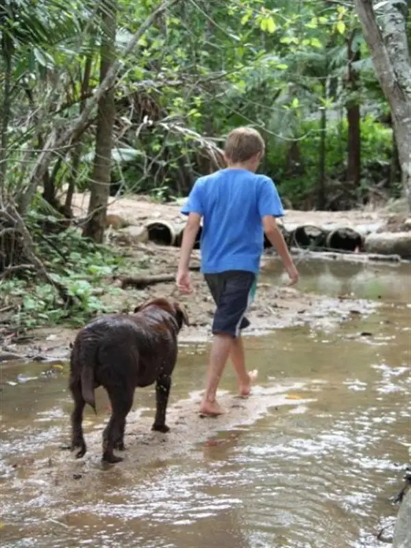 Seventh view of Homely rural property listing, 596 Gorge Rd, Finch Hatton QLD