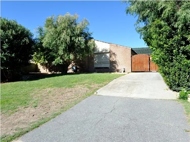 Main view of Homely house listing, 41 Okehampton Rd, Warnbro WA