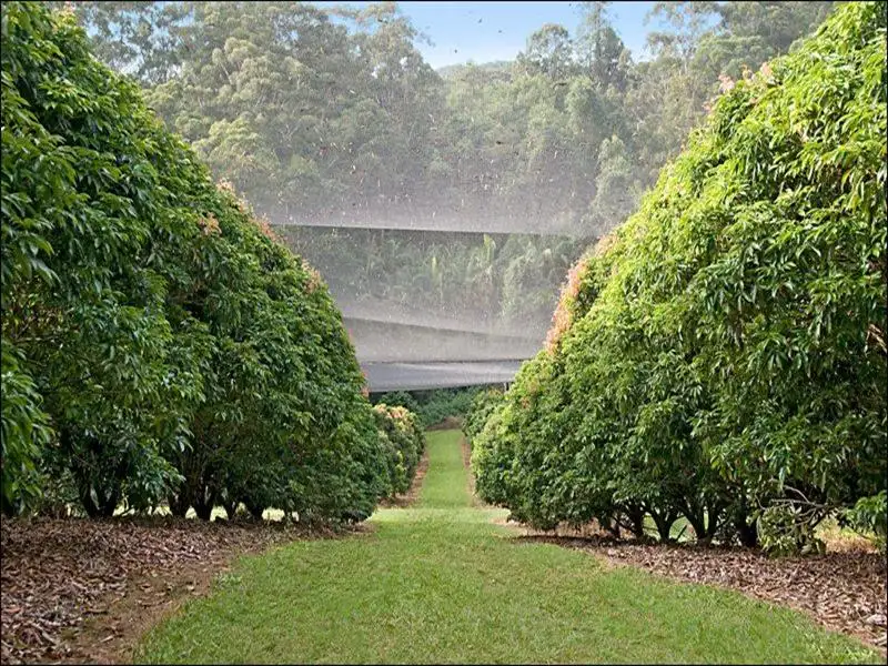 Main view of Homely house listing, 99-101 Wilsons Rd, Ilkley QLD