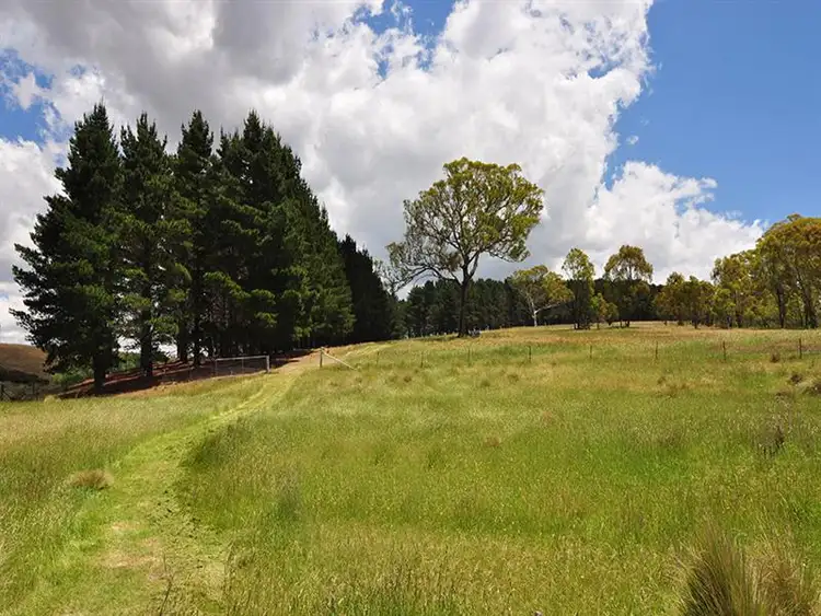 Fourth view of Homely rural property listing, 98 Wyoming Road 'Bungaroo', Bywong NSW