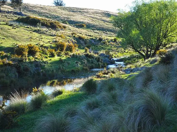 Fifth view of Homely rural property listing, 98 Wyoming Road 'Bungaroo', Bywong NSW