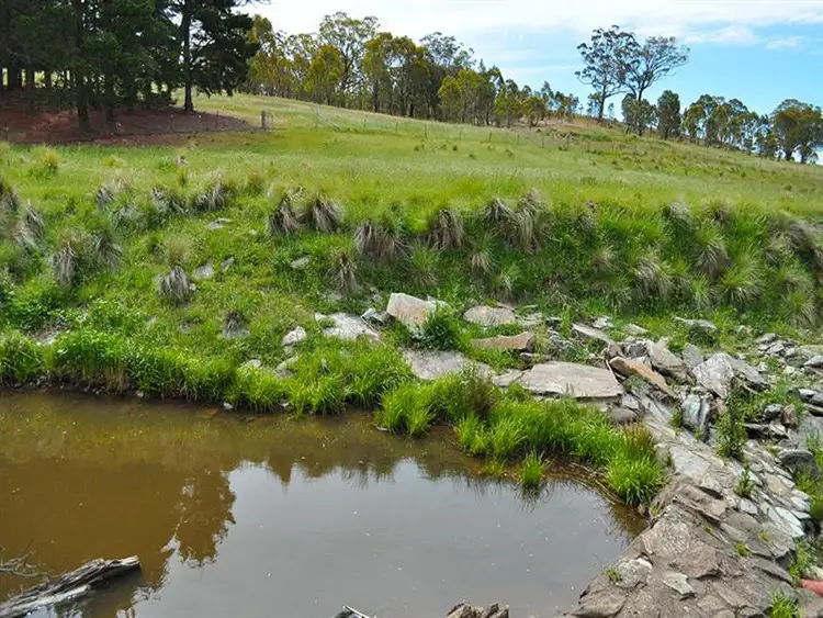 Sixth view of Homely rural property listing, 98 Wyoming Road 'Bungaroo', Bywong NSW
