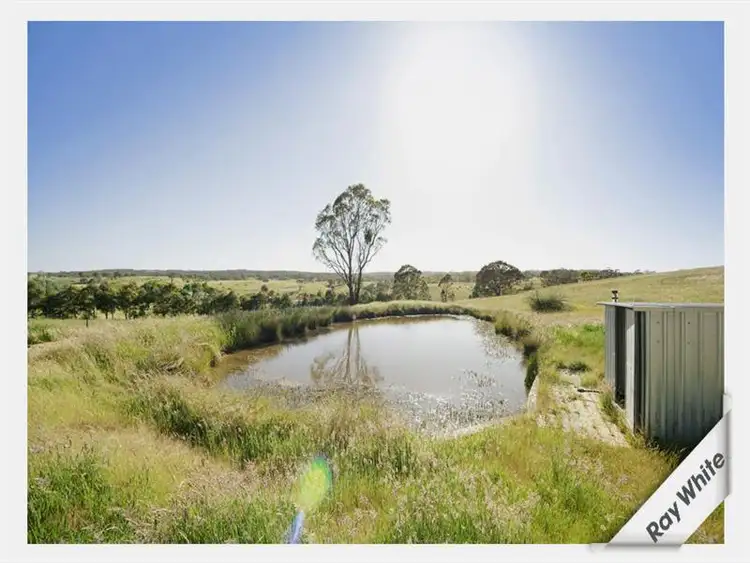 Seventh view of Homely rural property listing, 98 Wyoming Road 'Bungaroo', Bywong NSW