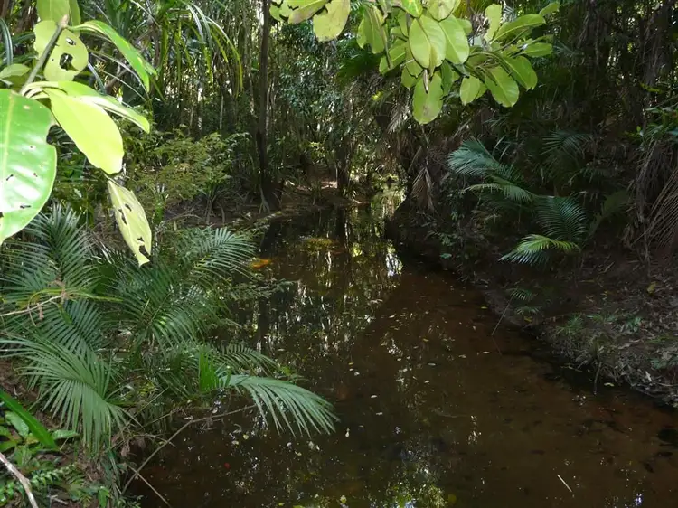 Lot 16 Rainforest Drive, Jubilee Heights QLD 4860
