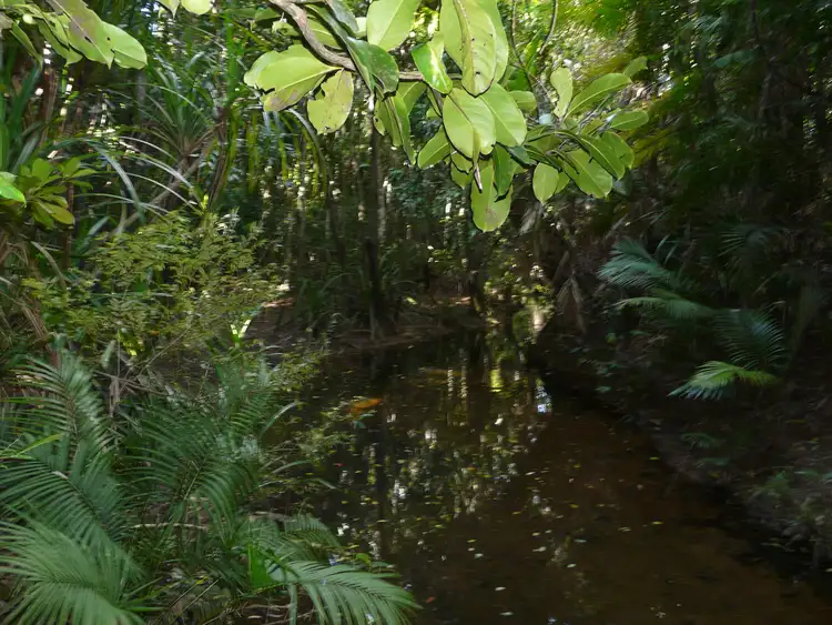 Fifth view of Homely land listing, Lot 16 Rainforest Drive, Jubilee Heights QLD 4860