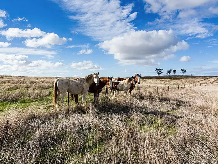 Fifth view of Homely rural property listing, 60 Chaunceys Line Rd, Strathalbyn SA