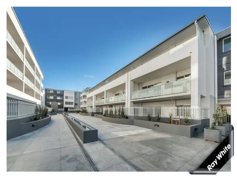 Main view of Homely apartment listing, 24/56 Cowlishaw St, Tuggeranong ACT
