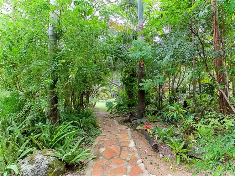 Fifth view of Homely house listing, 191 Lake MacDonald Dr, Cooroy QLD