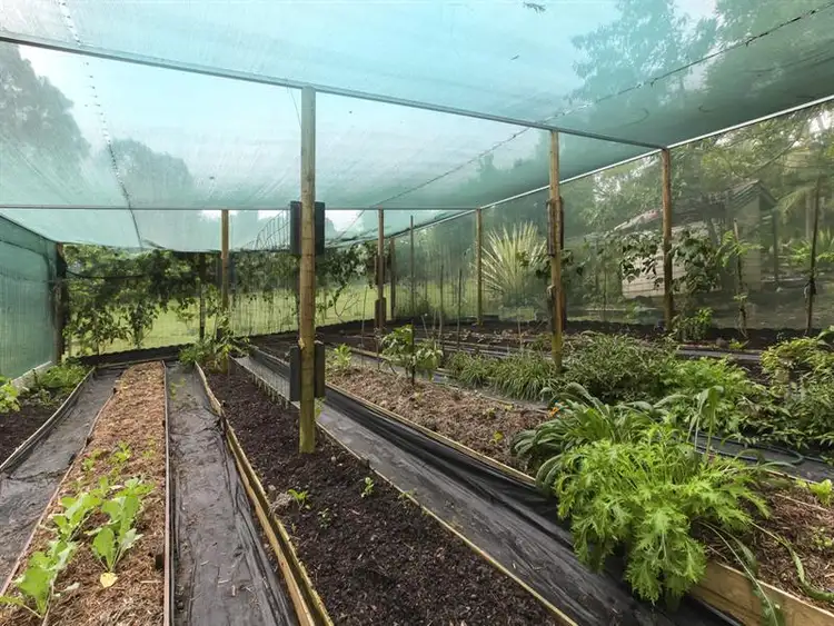 Sixth view of Homely house listing, 191 Lake MacDonald Dr, Cooroy QLD