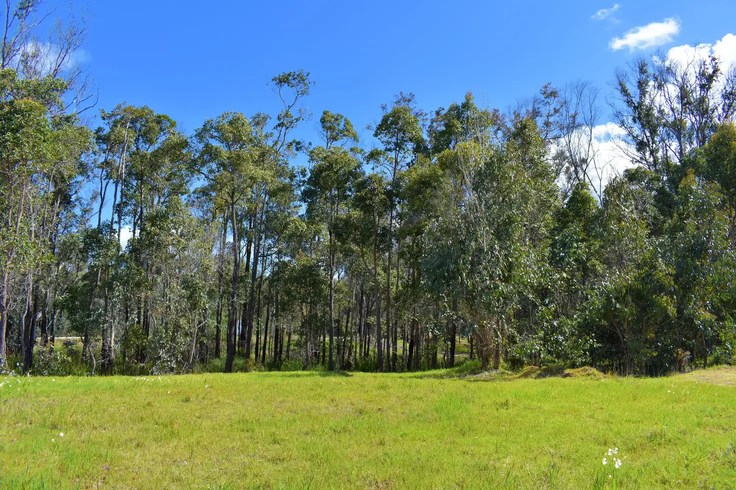 Main view of Homely land listing, Lot 80 Wilson Street, Nannup WA 6275
