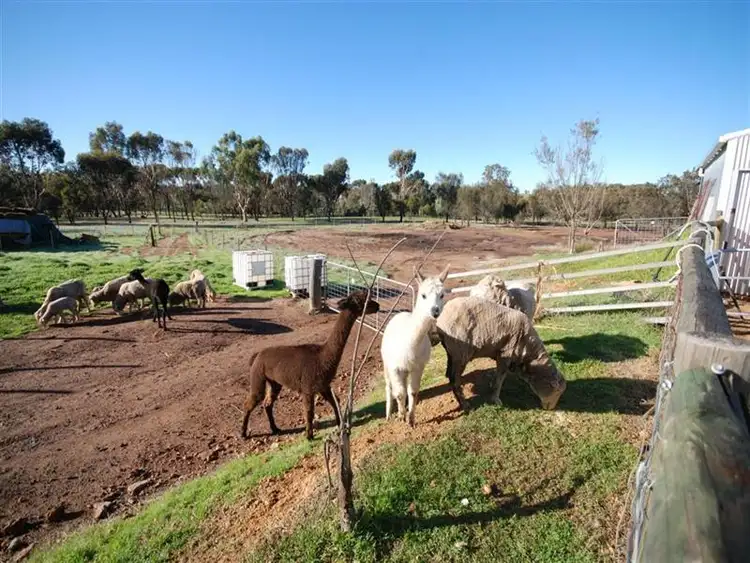 Fourth view of Homely rural property listing, 77 Graham Rd, Narrogin WA