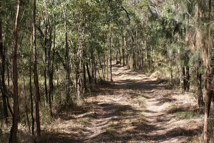 Second view of Homely land listing, 74 Range Road, Captain Creek QLD 4677