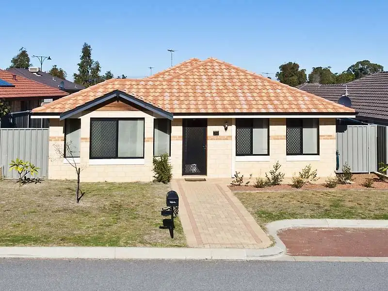 Main view of Homely house listing, 20 Wallingford Cres, Wellard WA