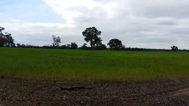 Fourth view of Homely rural property listing, 2x Lots Sturdee & West Beattie Road, Mount Barker WA 6324