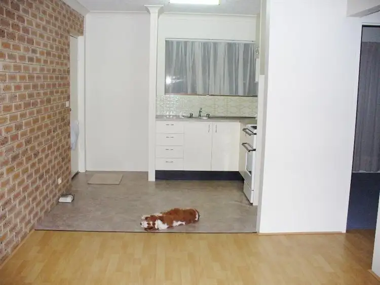 Fifth view of Homely unit listing, 2-4 Stint St, Peregian Beach QLD