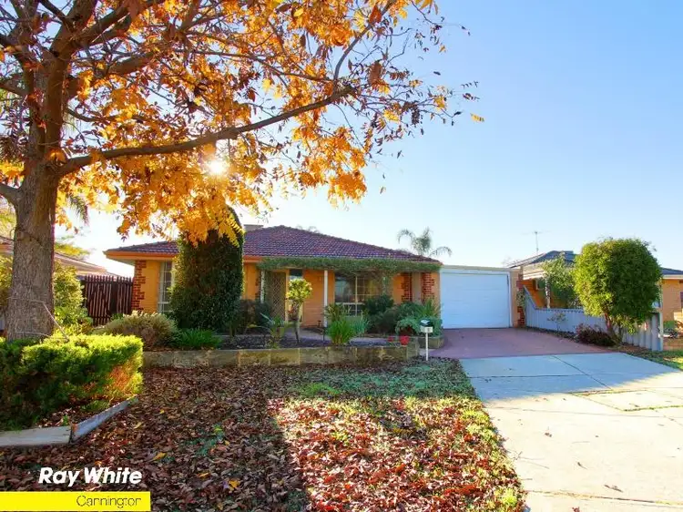 Main view of Homely house listing, 6 Bush Cl, Beckenham WA