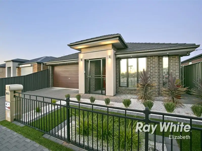 Main view of Homely house listing, 31 St Clair Ave, Andrews Farm SA