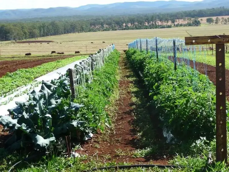Second view of Homely other listing, RN523 Longlands Gap Rd, Wondecla QLD