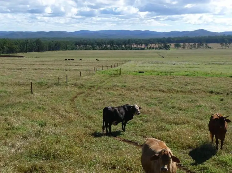 Third view of Homely other listing, RN523 Longlands Gap Rd, Wondecla QLD