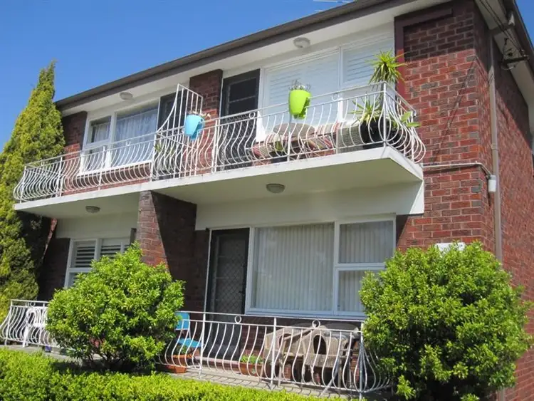 Main view of Homely unit listing, 5/36 Frenchmans Rd, Randwick NSW