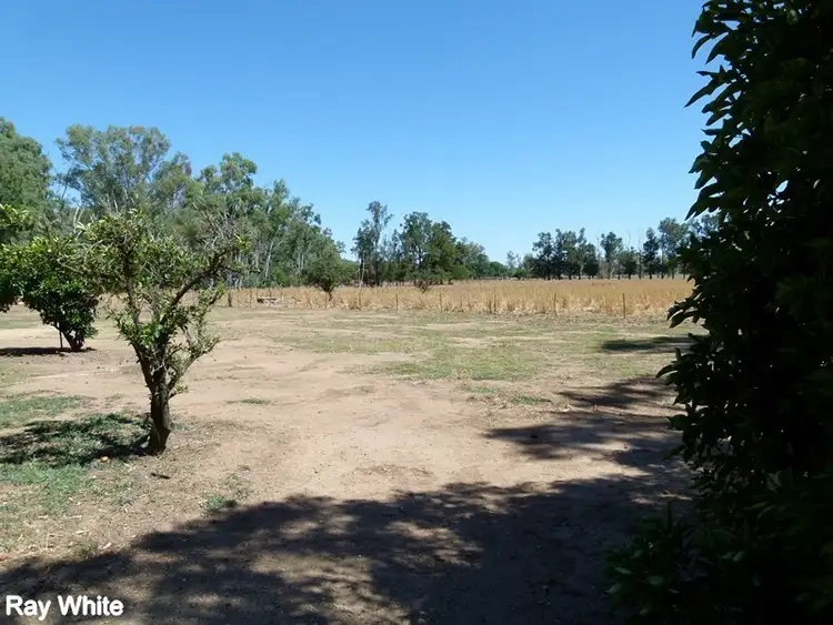 Sixth view of Homely house listing, 144 Salisbury Road, Forbes NSW 2871