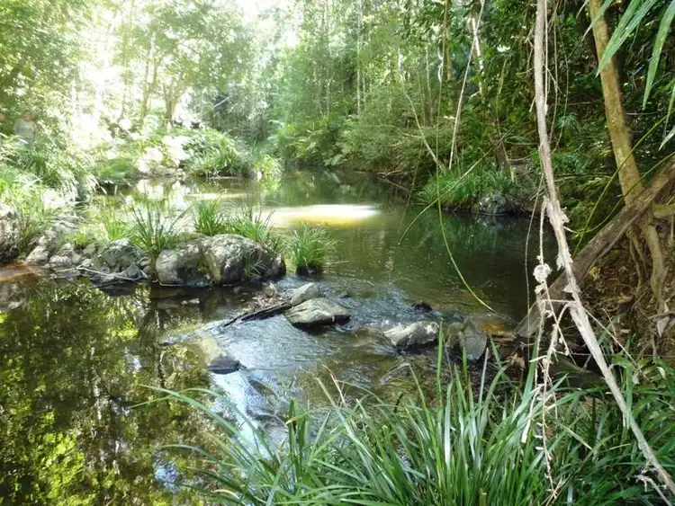 Fourth view of Homely house listing, 11 Butler Dr, Kuranda QLD