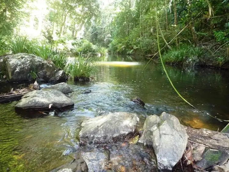 Seventh view of Homely house listing, 11 Butler Dr, Kuranda QLD