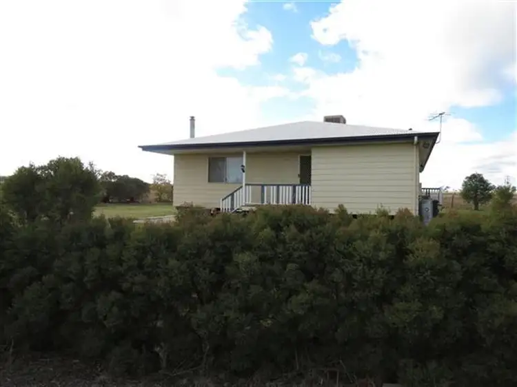 Main view of Homely rural property listing, 296 Roma Downs Rd, Roma QLD