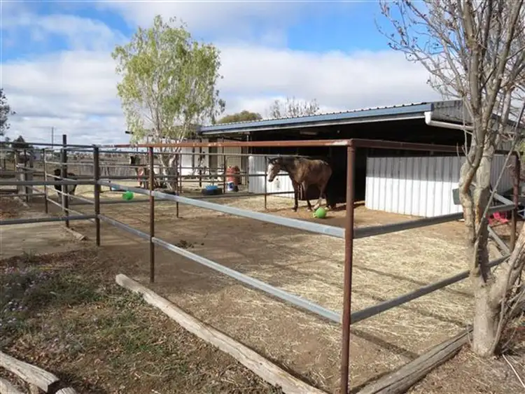 Sixth view of Homely rural property listing, 296 Roma Downs Rd, Roma QLD