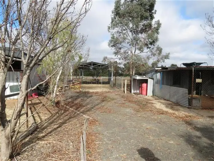 Seventh view of Homely rural property listing, 296 Roma Downs Rd, Roma QLD